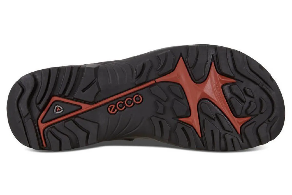 Ecco Offroad Tarmac/Moon Rock/Oil Mens