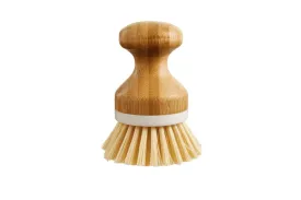 Toddler Dish Brush