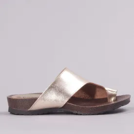 Toe-Loop Sandal in Gold - 12443